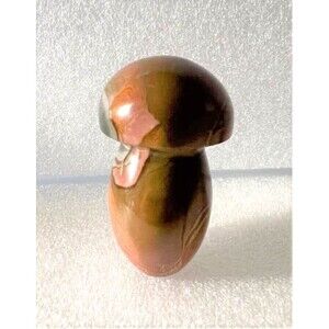 Very Pretty Polychrome Mushroom